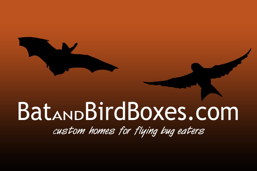 BatandBirdBoxes.com - logo design and website